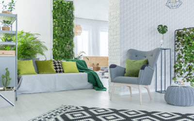 Transform Your Home into a Stylish and Healthy Haven with Indoor Plants