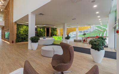 Feng Shui for Corporate Offices – How to Design an Inviting Reception Area and a Healthy and Happy Workplace